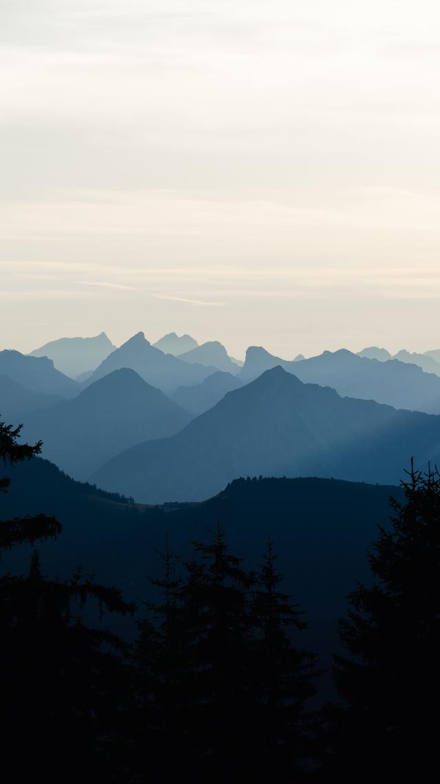 Silhouetted pine trees in the foreground look out towards layers of blue mountain peaks fading into a pale sky.