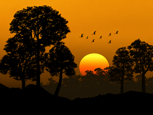 Nature